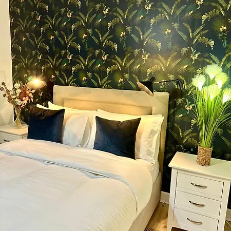 Blush Jungle - Homestay Dublin Exterior photo