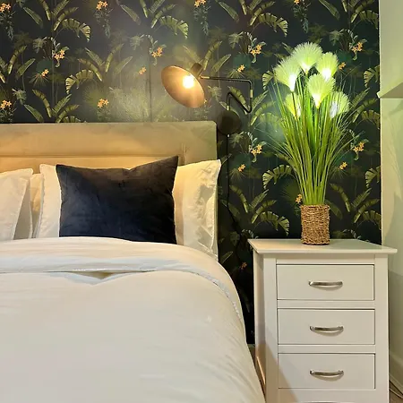 Blush Jungle - Homestay Dublin Exterior photo