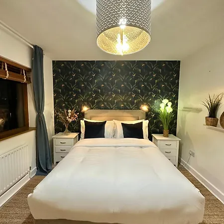 Blush Jungle - Homestay Dublin Exterior photo