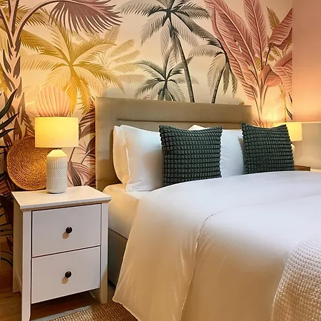 Blush Jungle - Homestay Dublin Exterior photo